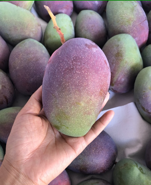 1608694088191840.png image.png