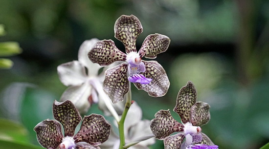 1592009760354234.png image.png