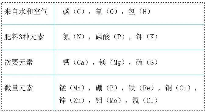 室内植物如何施肥 施肥全攻略 好用的肥料推荐 附国内外购买网站 8 返利 Extrabux