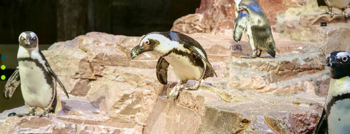 1608798899970207.png 1608798899970207.png