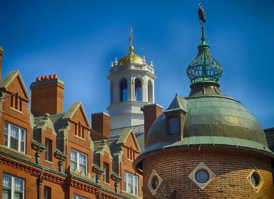 1608799252797449.png 1608799252797449.png