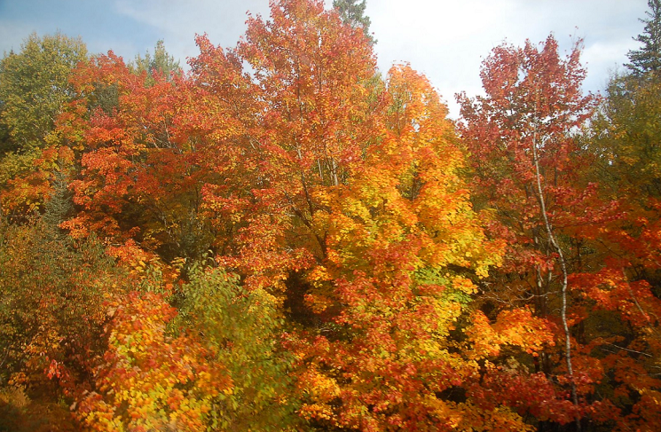 1608882412112010.png image.png