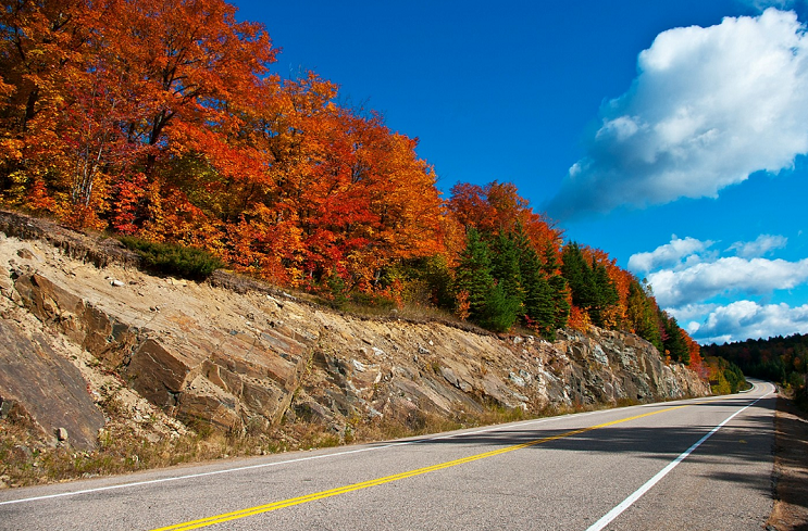 1608877157193700.png image.png