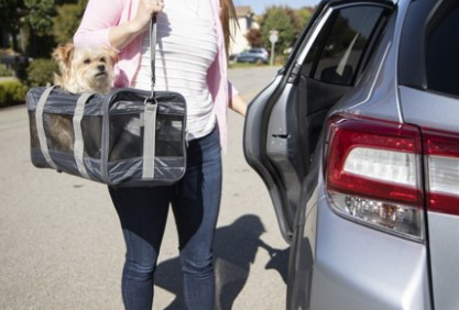 宠物航空箱软包 宠物航空箱软包