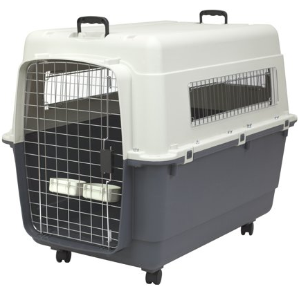 1579066579895785.png image.png