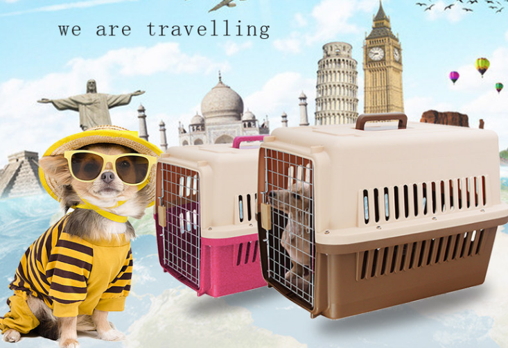 硬质不带轮宠物航空箱 硬质不带轮宠物航空箱