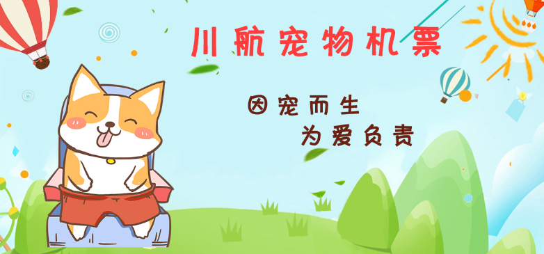 川航宠物运输 川航宠物运输