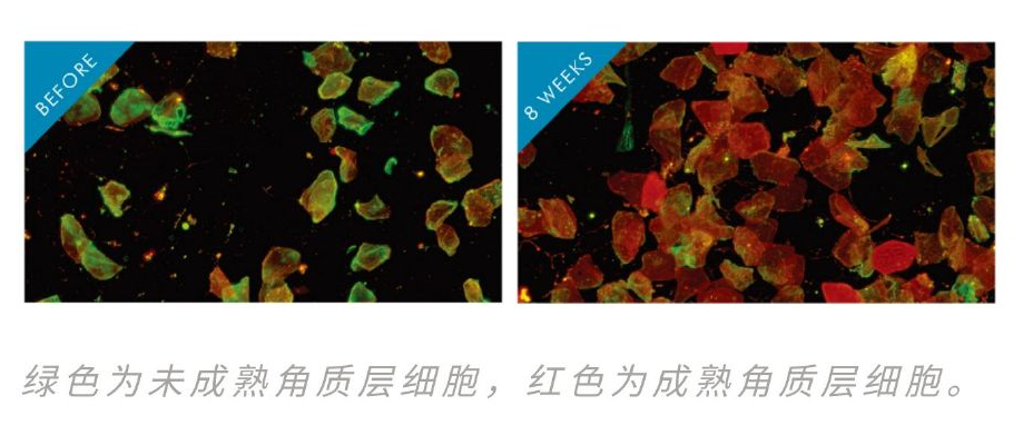 1577526049241262.png 1577526049241262.png