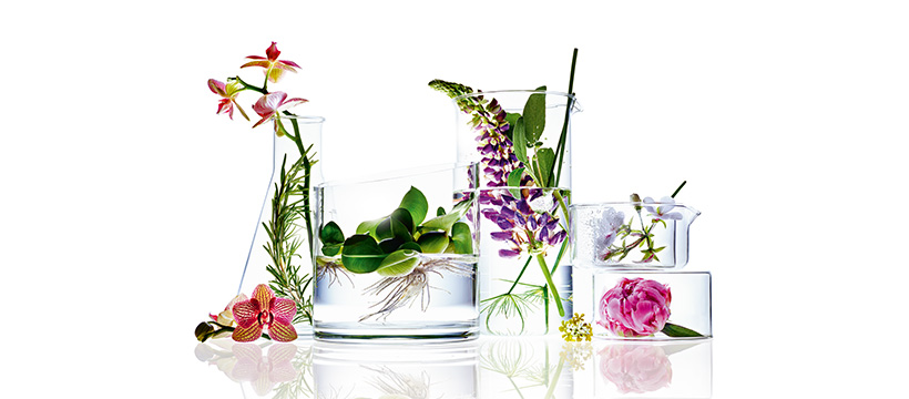 小众德国护肤品牌 - Annemarie Borlind安娜柏林最好用的五款明星产品推荐(橙花与玫瑰蜜/小红帽/LL眼霜/小白管)