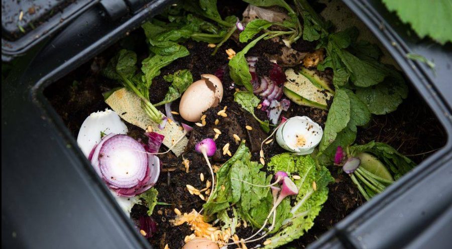 21英国垃圾分类标准与回收指南 垃圾桶 垃圾袋分类 回收时间 注意事项 Extrabux