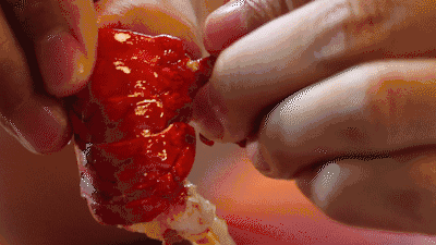 1558581189694243.gif 1558581189694243.gif