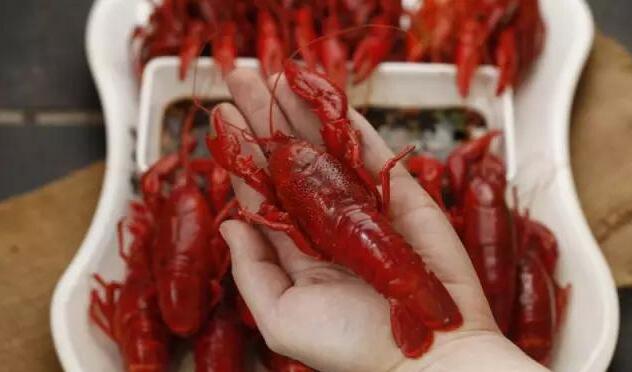 1558579870942508.jpg 1558579870942508.jpg