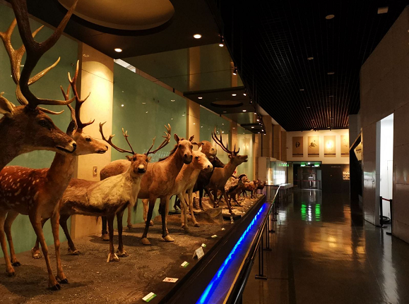 1609738361968800.png image.png