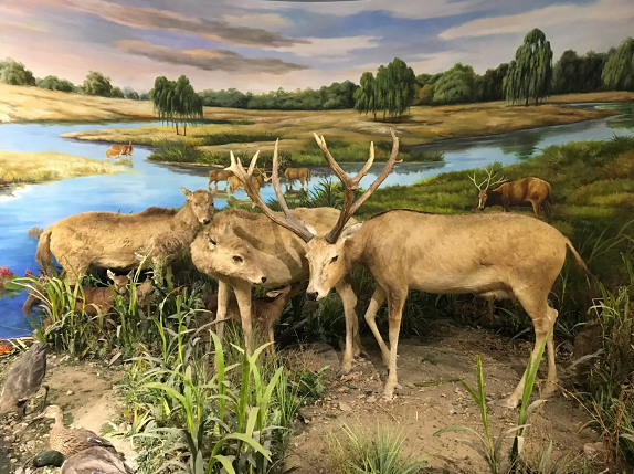 1609738642452375.png image.png