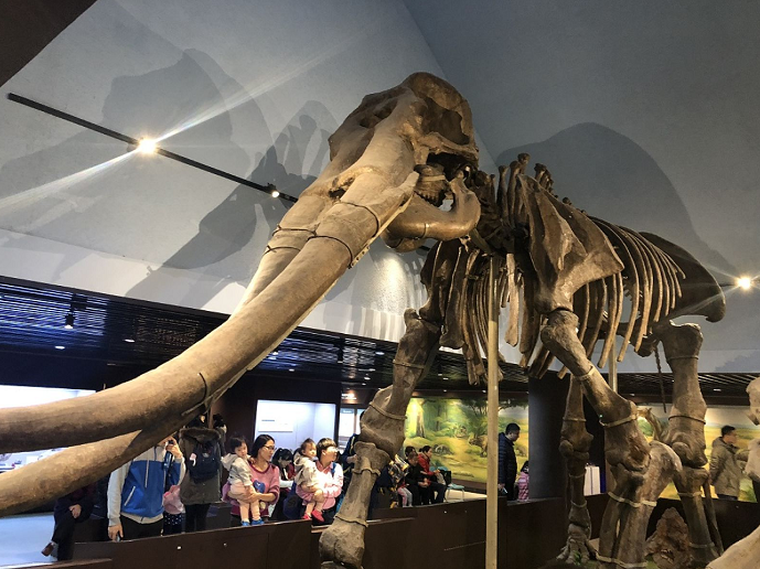 1609738547309342.png image.png