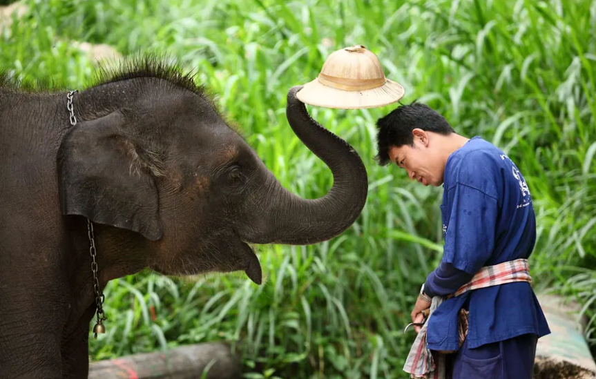 1609746025807369.png 1609746025807369.png