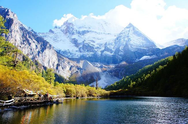 1609748867171997.png image.png