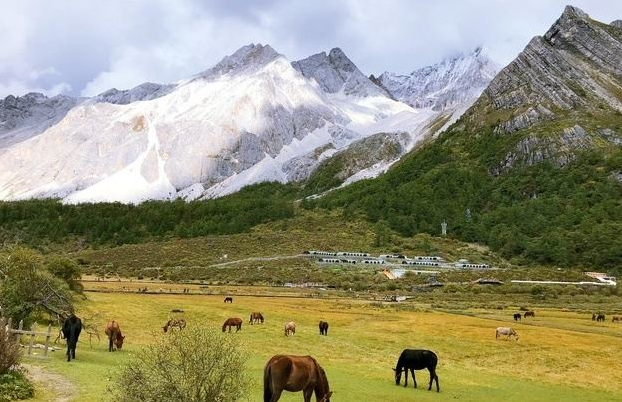 1609749129335154.png image.png