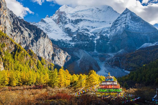 1609750426549069.png image.png