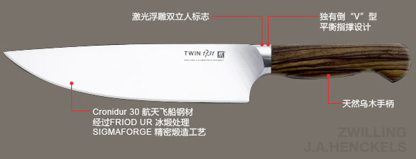 ZWILLING TWIN 1731