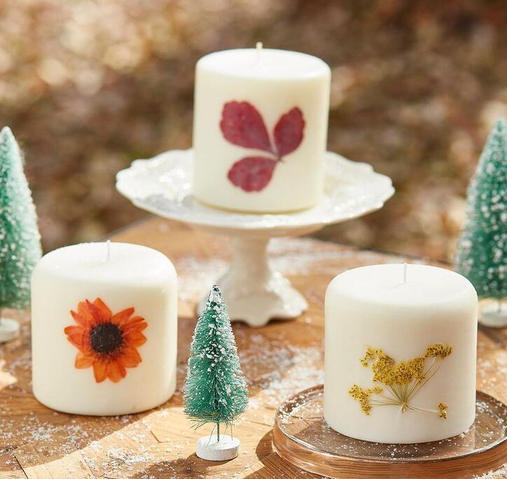 1609826915367323.jpg 1609826915367323.jpg