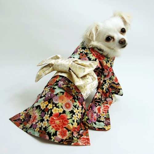 1566887347324843.jpg 1566887347324843.jpg