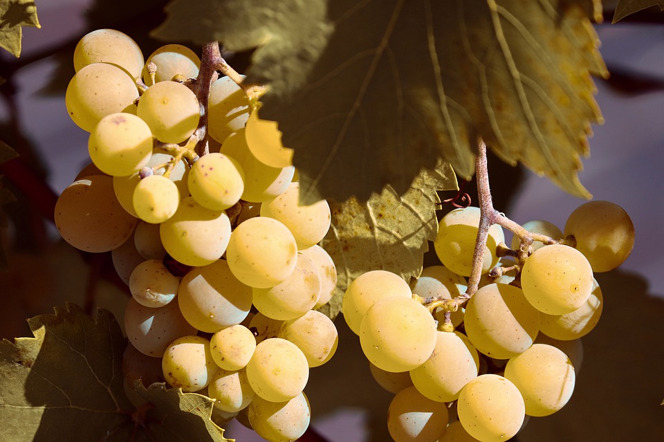 1609898225775756.jpg 1609898225775756.jpg