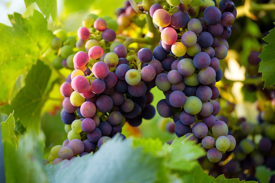 1609898532342433.jpg 1609898532342433.jpg