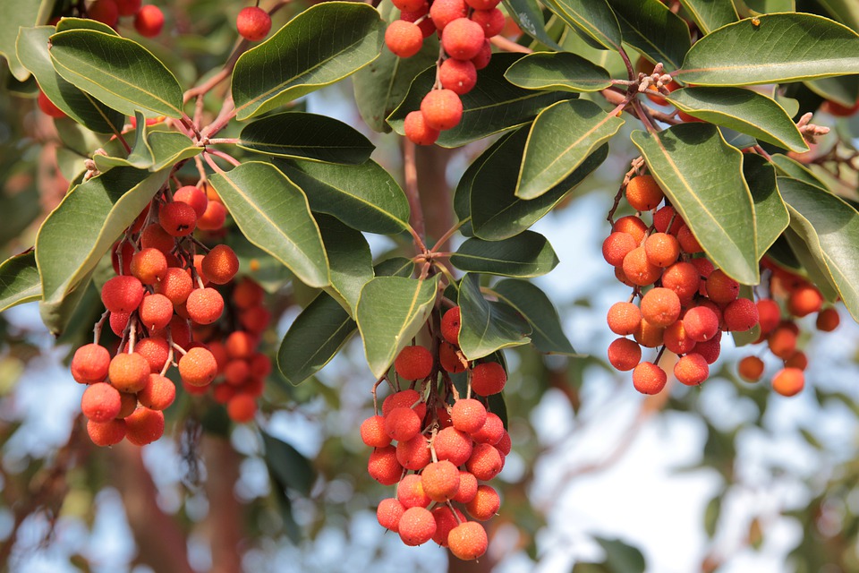 1609900419599810.jpg 1609900419599810.jpg