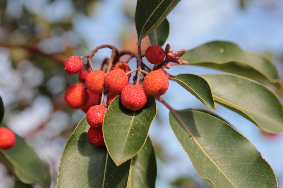 1609900655113537.jpg 1609900655113537.jpg