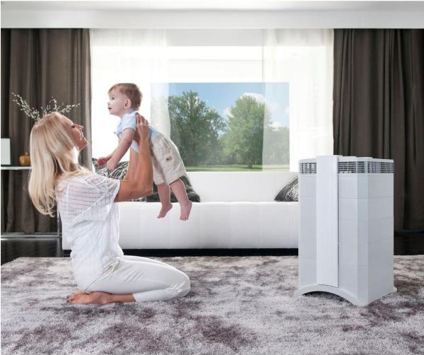 1609910360344159.png 1609910360344159.png