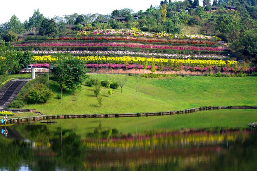 1609915993259413.jpg 1609915993259413.jpg