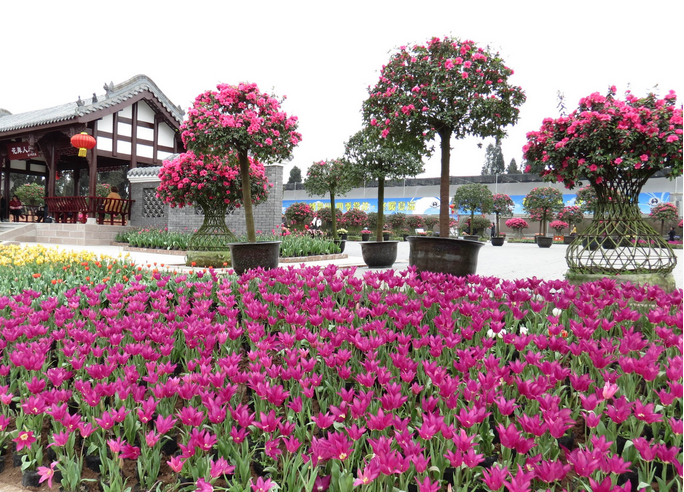 1565426872816168.png 1565426872816168.png