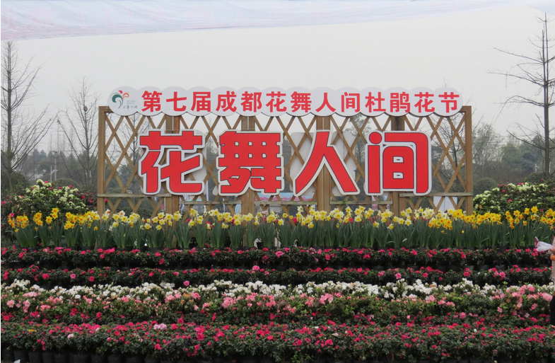 1565426817103627.png 1565426817103627.png