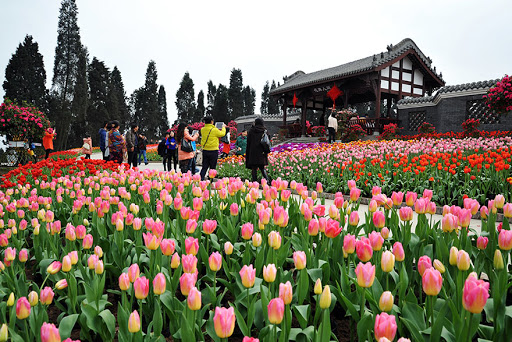 1609916433500466.jpg 111.jpg