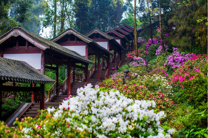 1565427298996039.png 1565427298996039.png