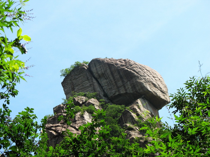 1609918809393901.jpg 1609918809393901.jpg