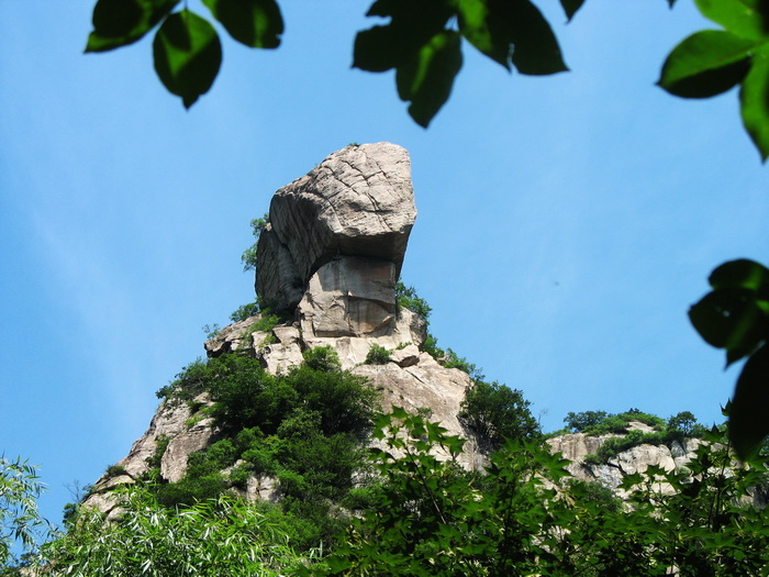 1609918807930834.jpg 1609918807930834.jpg