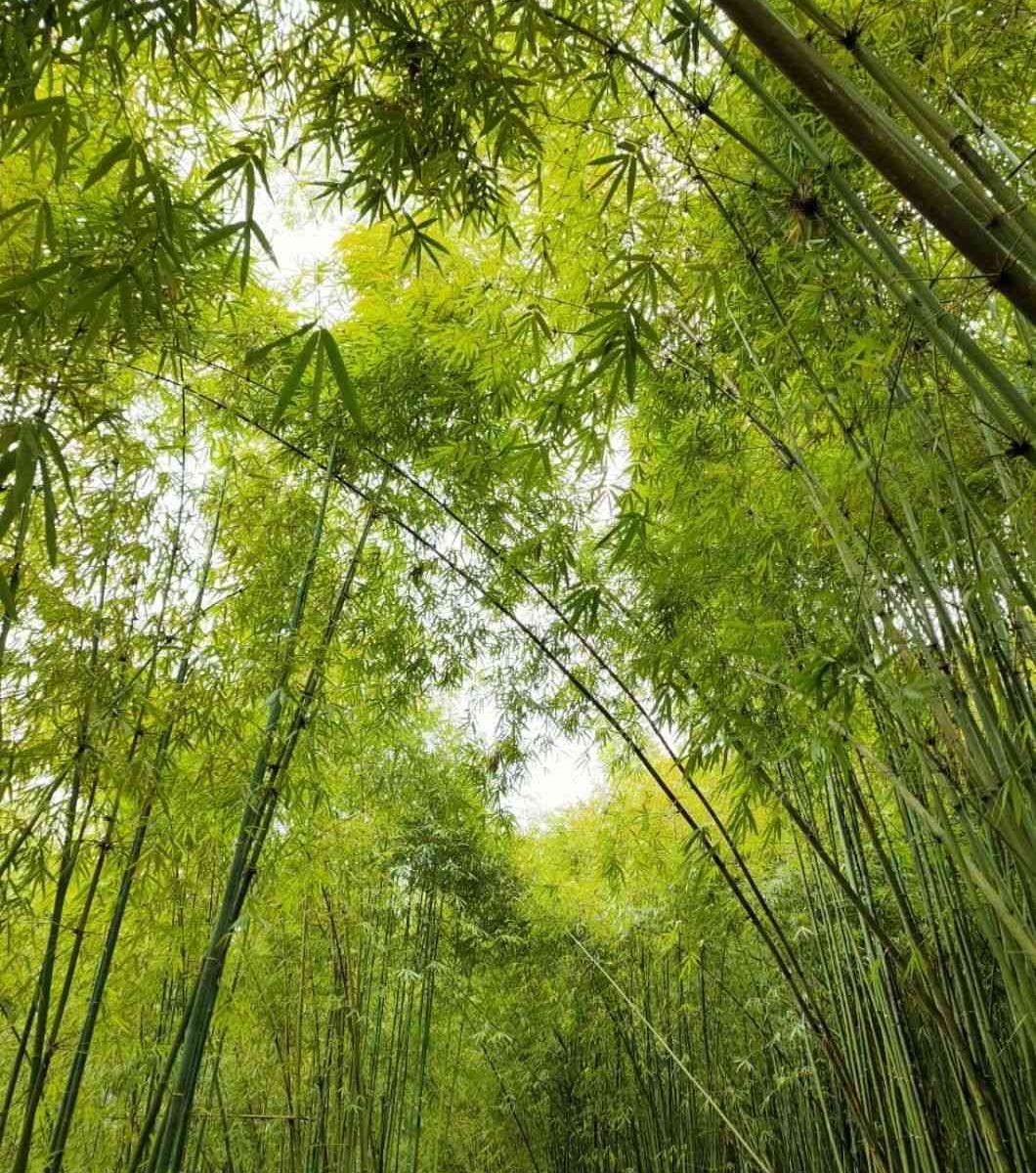 21成都周边避暑胜地推荐 消暑纳凉 戏水 漂流 你想要的清凉这里都有 附门票 交通路线 炎炎夏日 还在等什么 一天打来回 巴适的板 Extrabux