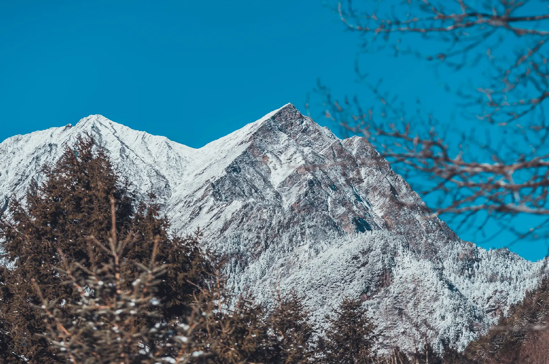 1610613096729184.png 1610613096729184.png