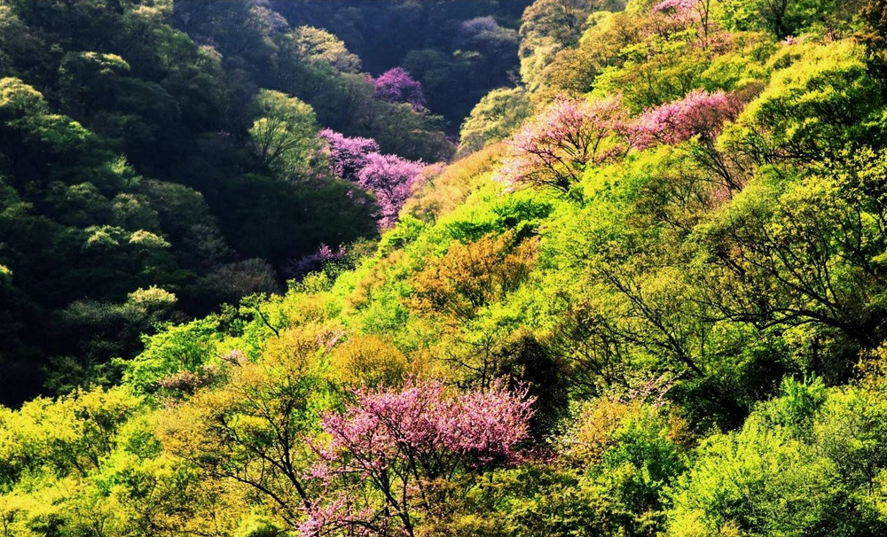 1564570240703808.png 1564570240703808.png