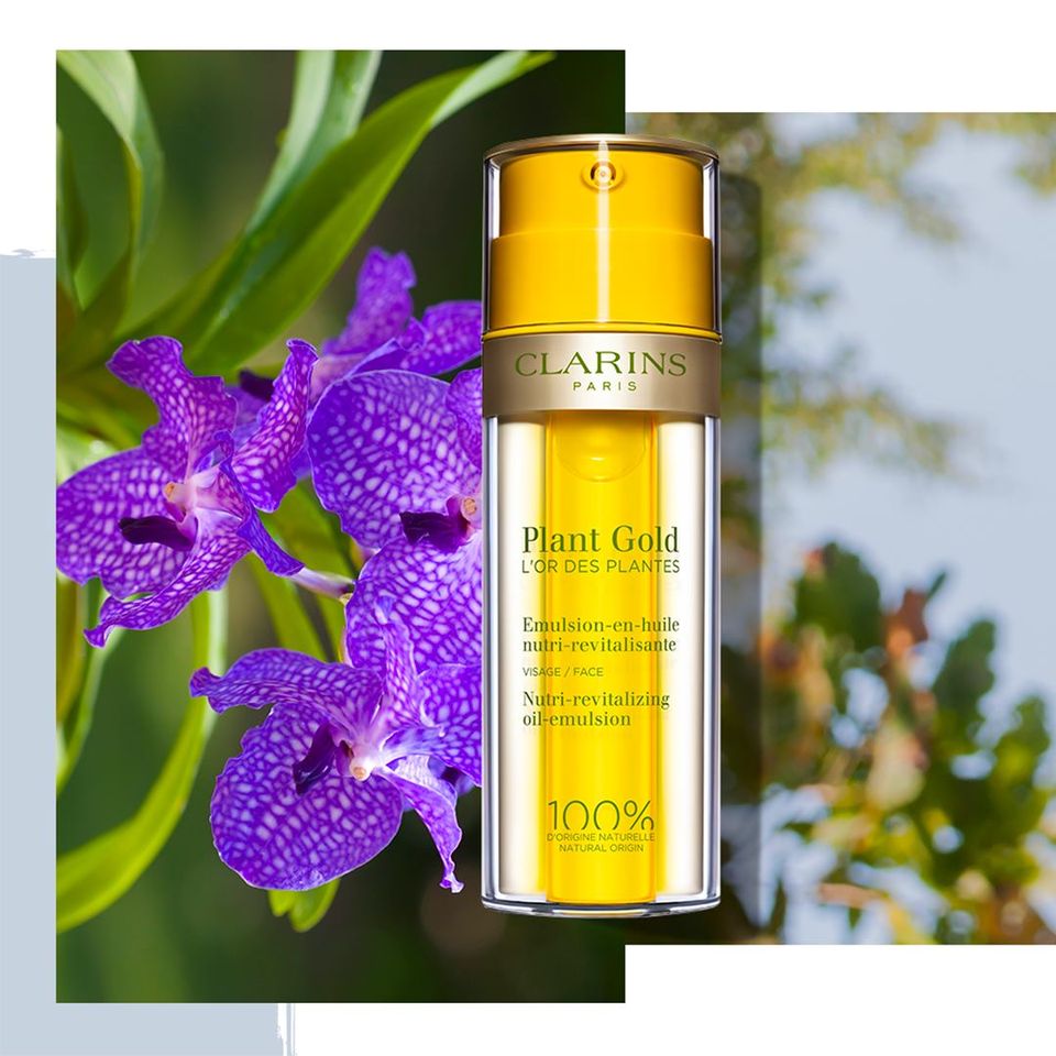 1610706568517312.jpg 1610706568517312.jpg