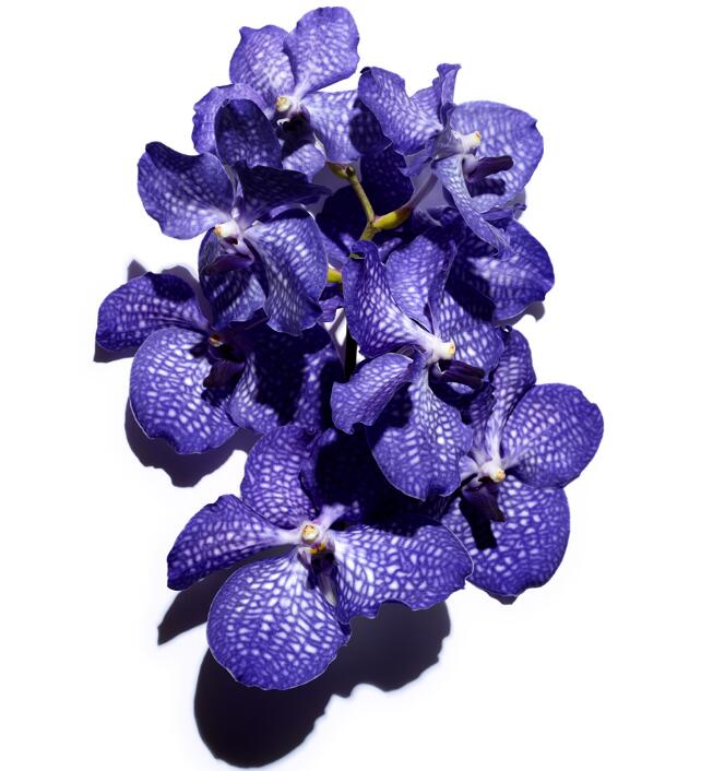 1610706629756566.jpg 01.jpg