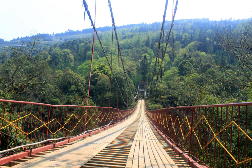 1561787482885751.png 1561787482885751.png