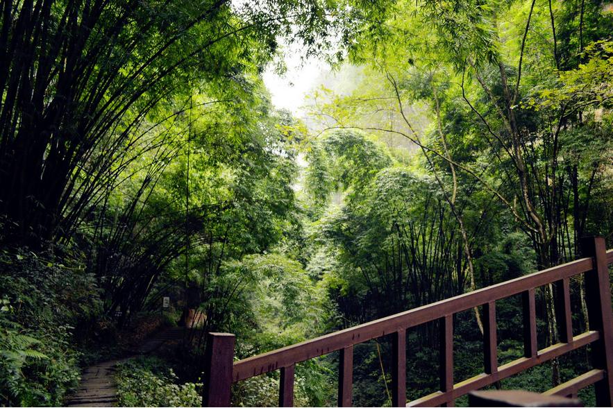 1561786997903210.png 1561786997903210.png