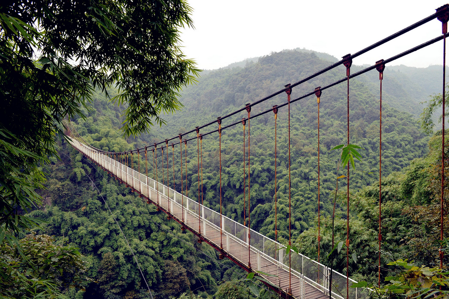 1561787095928404.png 1561787095928404.png