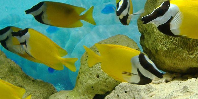 1560996245964607.png 1560996245964607.png