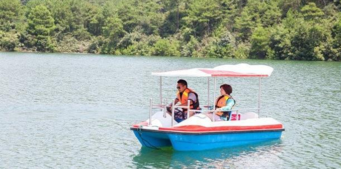 1560996313528021.png 1560996313528021.png