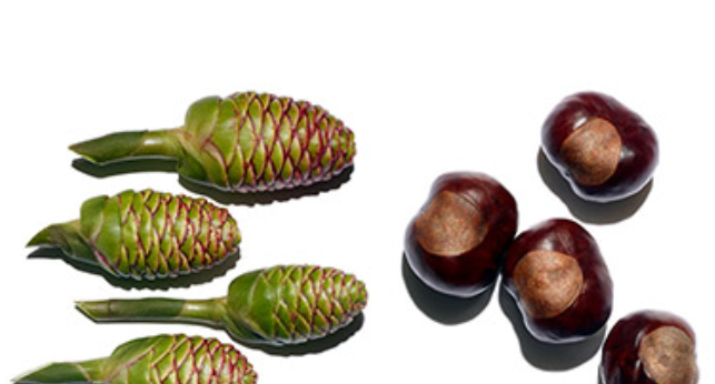 1560594241172346.png 6.png