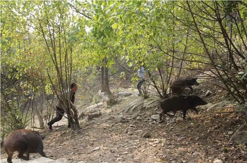 1565682312325192.png 1565682312325192.png